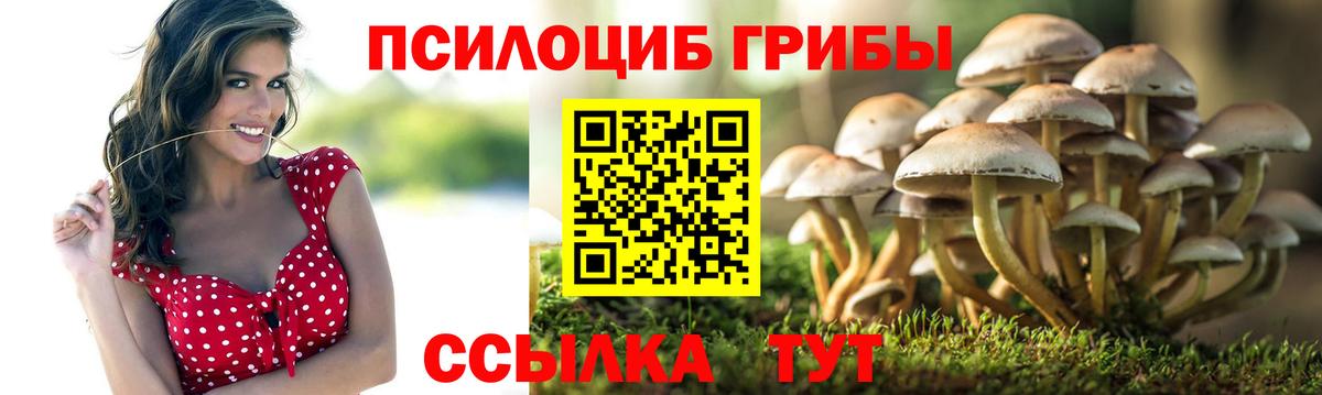Галлюциногенные грибы ЛСД  Галлюциногенные грибы Magic Shrooms  Воткинск  Вход с VPN 